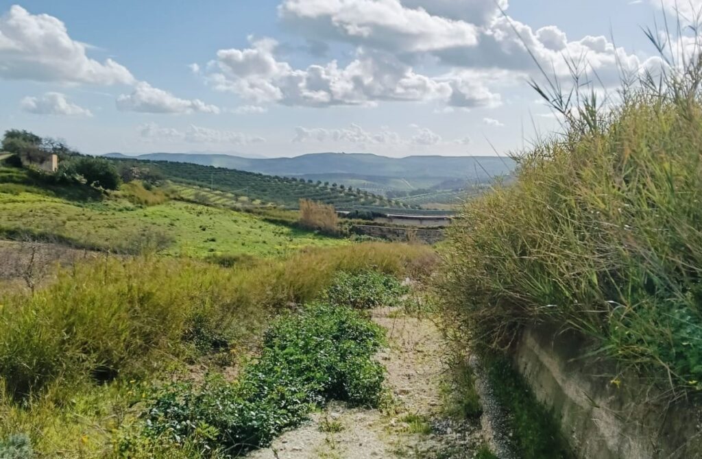 Viabilità rurale, consegna lavori per Nadore