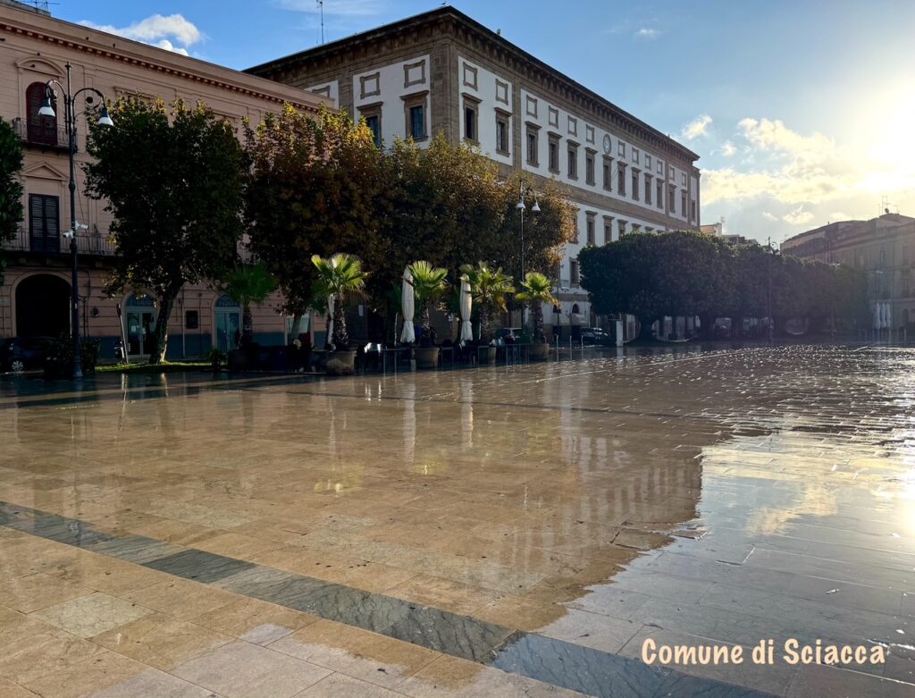 Ficus di piazza Scandaliato, sdegno dell’assessore al Verde Pubblico Simone Di Paola per azione vandalica